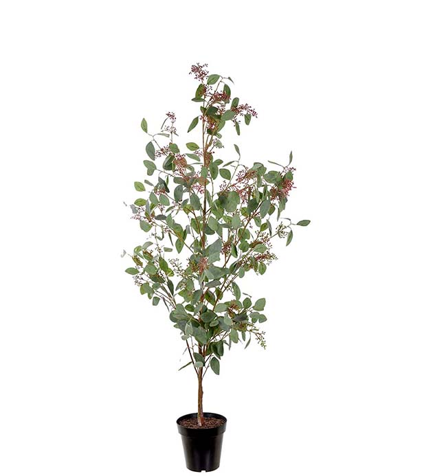 4597-175, Eucalyptus 175 cm
