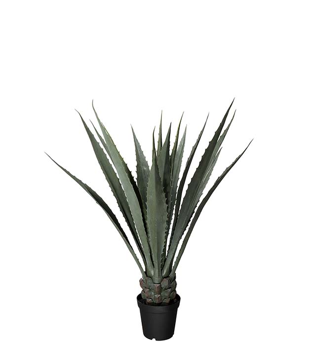 4598-120 - Agave 120 cm