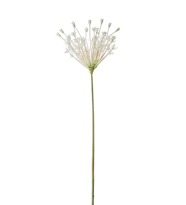 4633-11 - Allium 107 cm