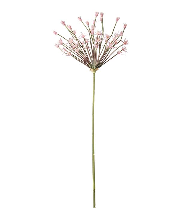 4633-20 - Allium 107 cm