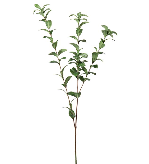 4637-90 - Ruscus 110 cm