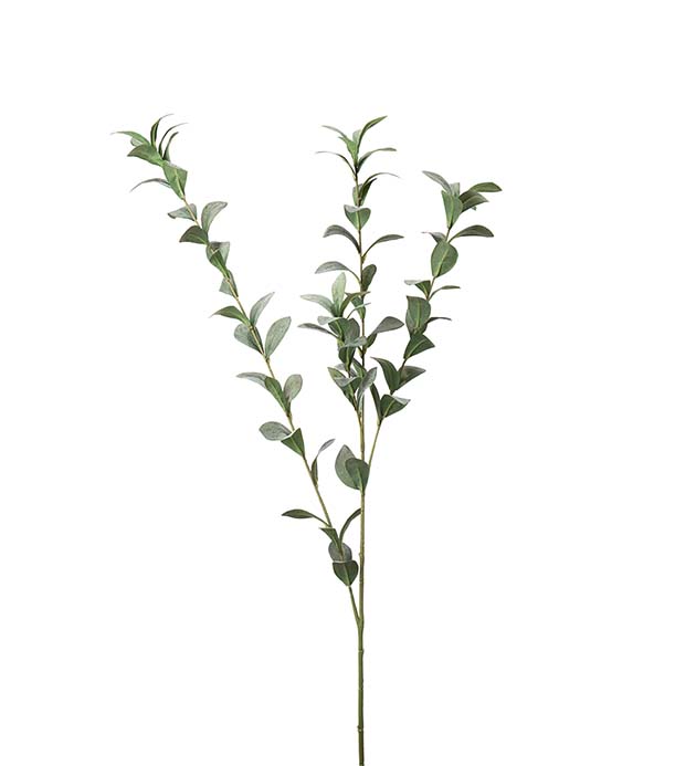 4637-95 - Ruscus 110 cm