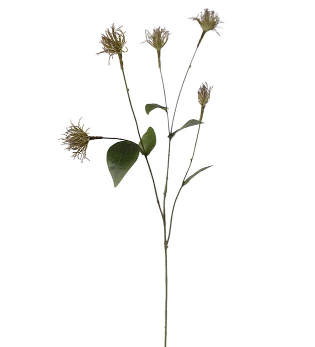 4638-90 - Clematis 69 cm