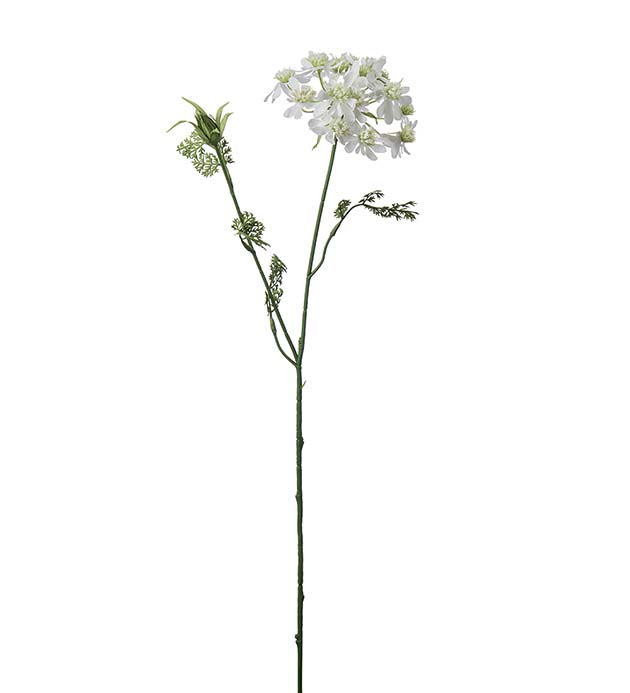 4647-10 - Blomsterkörvel 73 cm