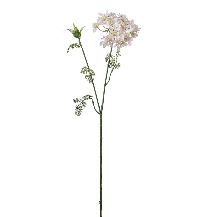 4647-21 - Blomsterkörvel 73 cm