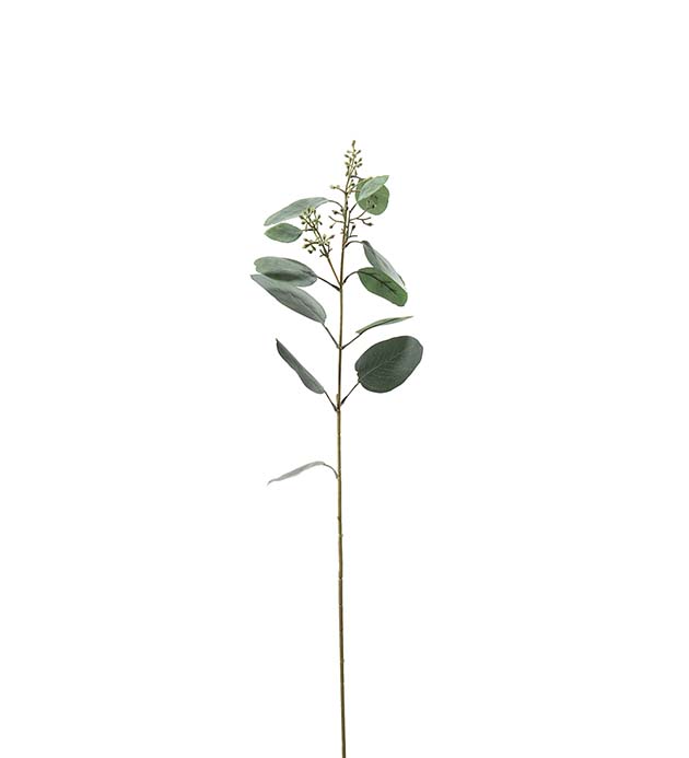 4649-95 - Eucalyptus 87 cm