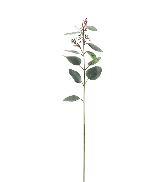 4649-96 - Eucalyptus 87 cm