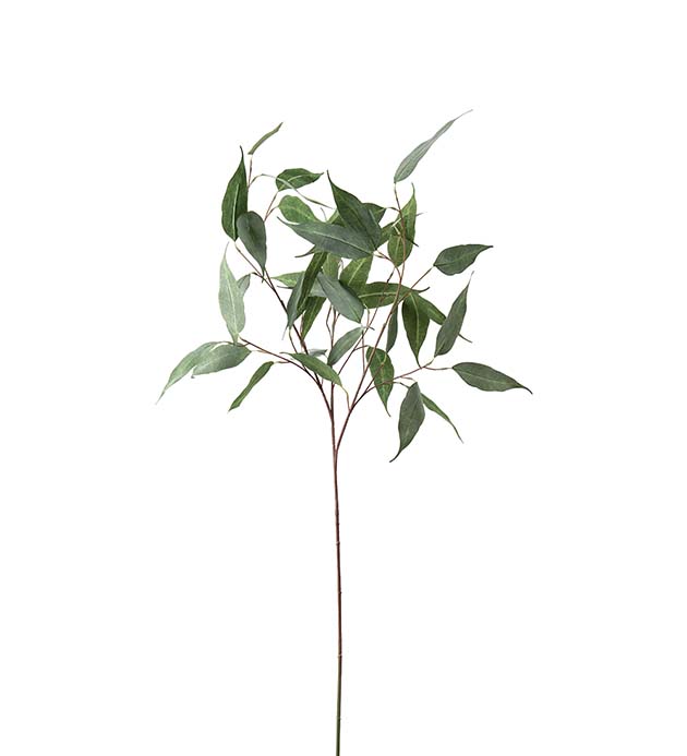 4650-90 - Eucalyptus 110 cm