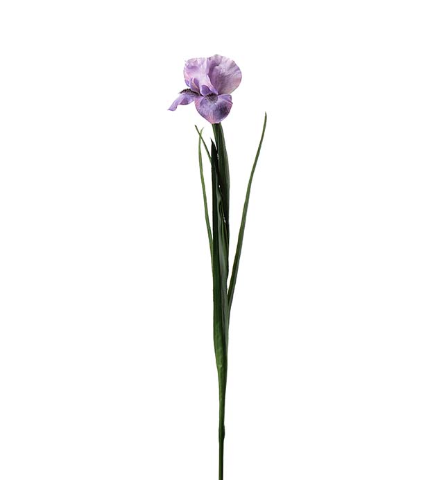 4651-40 - Iris 68 cm