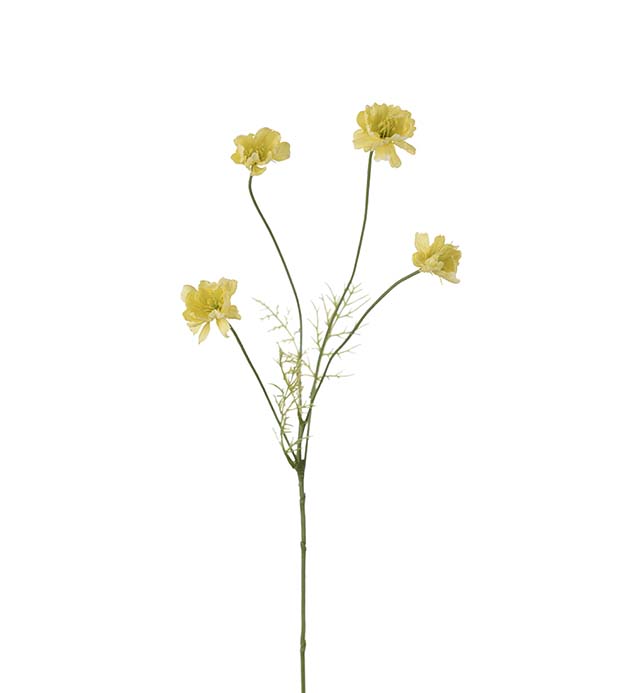 4674-50 - Cosmos 55 cm