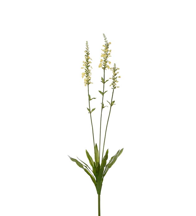 4688-50, Porslinsveronika 100 cm