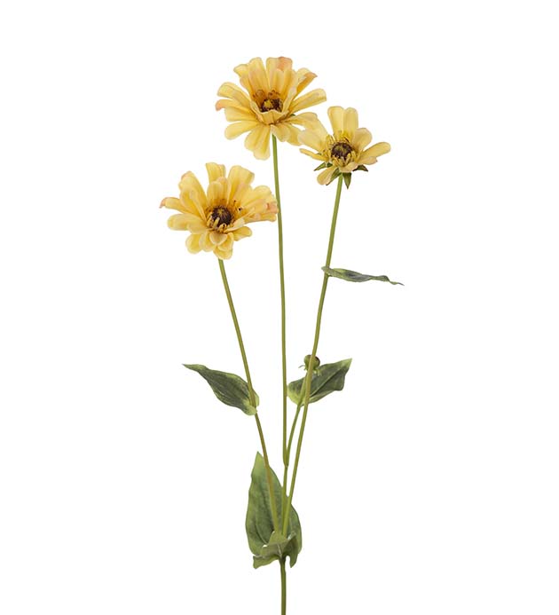 4701-50 - Zinnia 65 cm