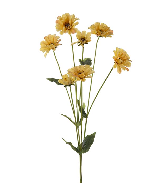 4702-50 - Zinnia 90 cm