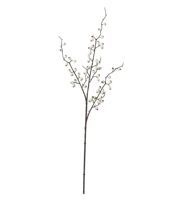 4720-10 - Bärkvist med is