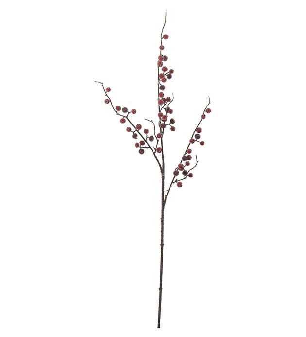 4720-80 - Bärkvist med is