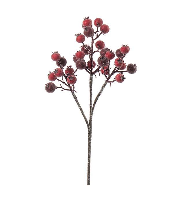 4723-01 - Nyponkvist med is