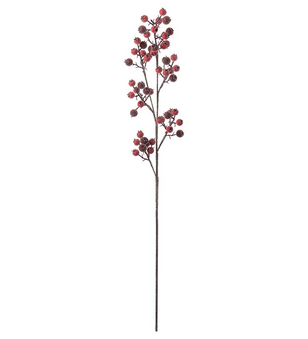 4723-02 - Nyponkvist med is