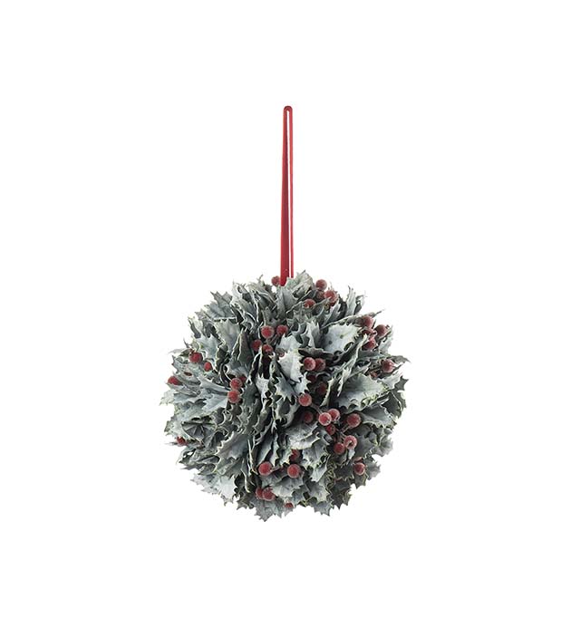 4730-01, Järneksboll med frost