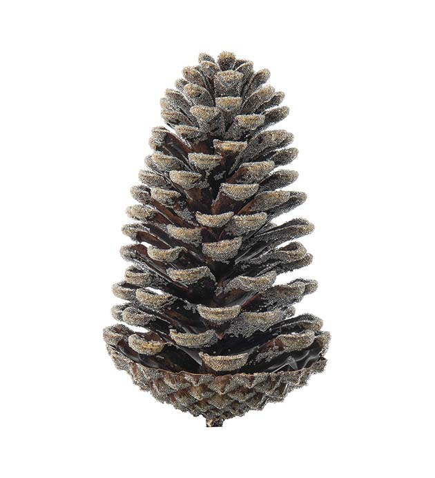 4731-70, Kotte med is