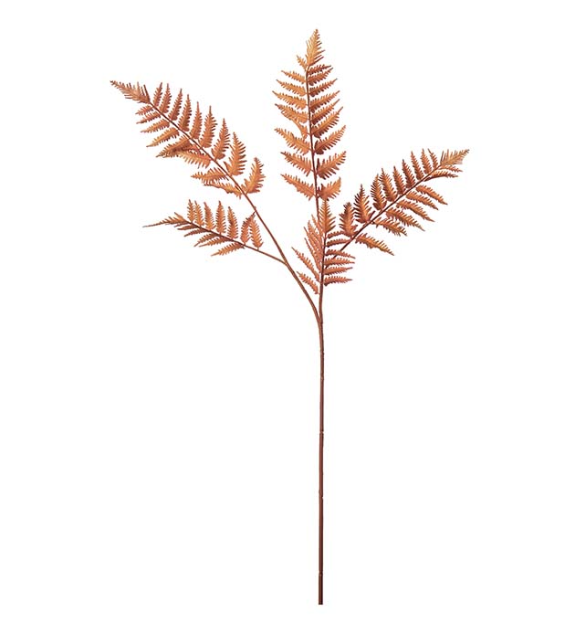 4746-35, Ormbunksblad