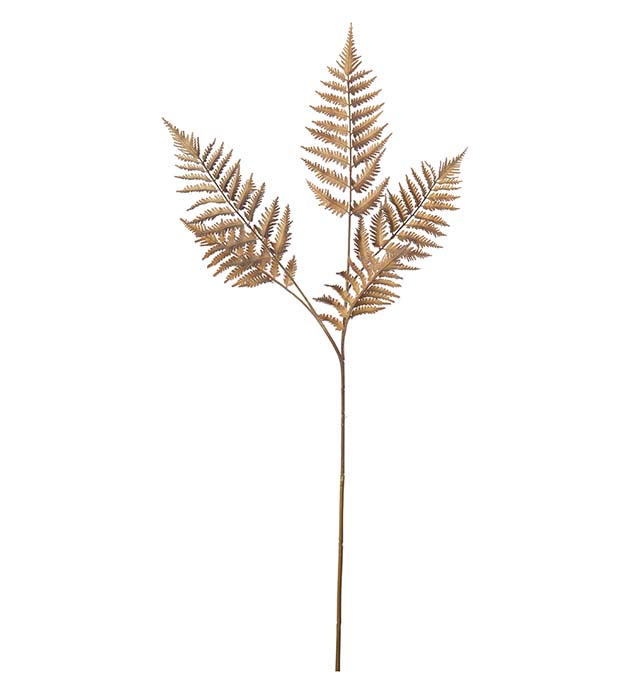 4746-71, Ormbunksblad