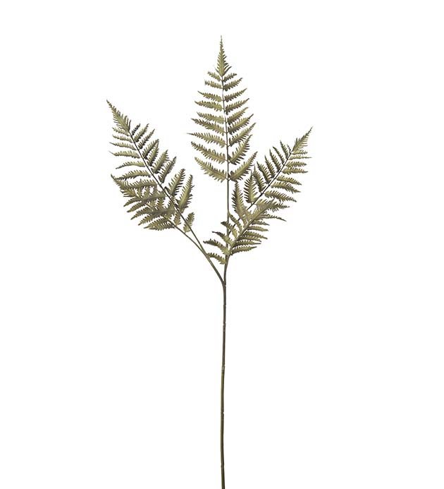 4746-90, Ormbunksblad