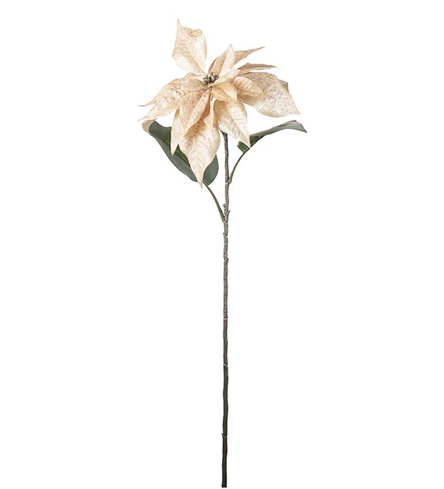 4747-71, Julstjärna