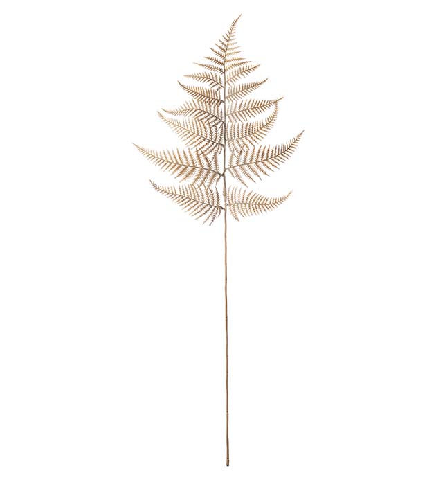 4778-71, Ormbunksblad