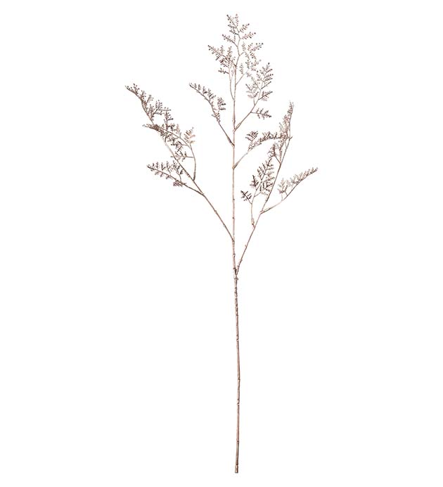 4784-20, Limoniumkvist