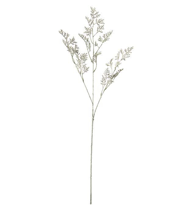 4784-90, Limoniumkvist