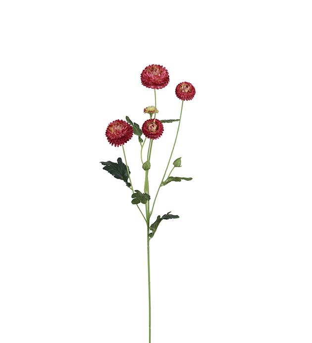 4786-85, Chrysanthemum 60 cm