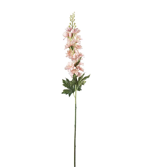 4787-20, Delphinium 75 cm