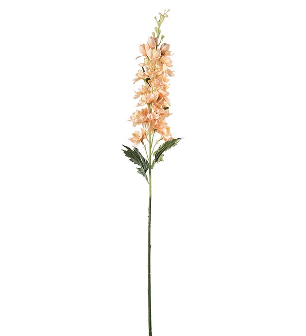 4787-31, Delphinium 75 cm