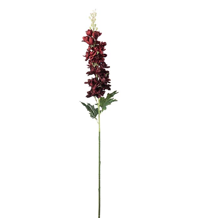 4787-85 - Delphinium 75 cm