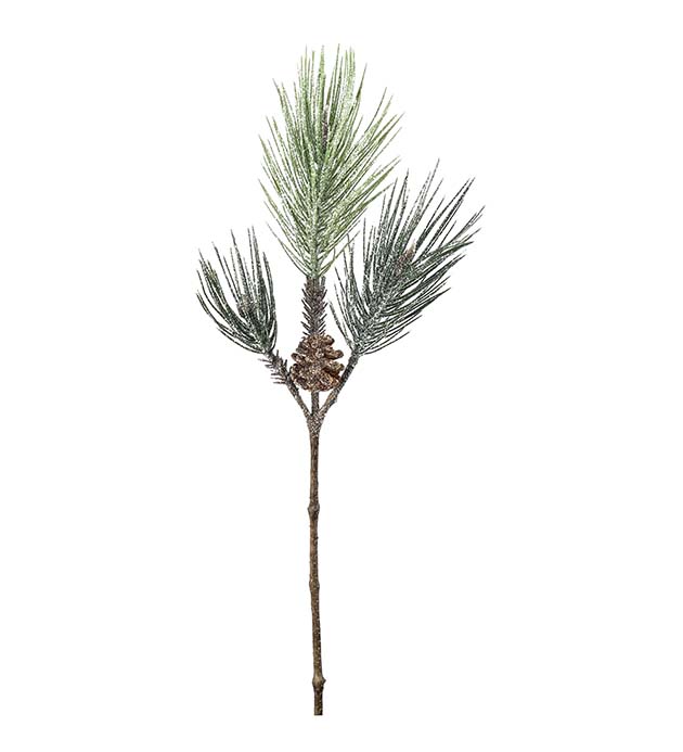 4835-01, Tallkvist med frost