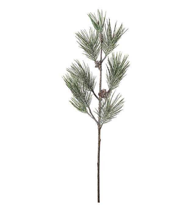 4835-02, Tallkvist med frost