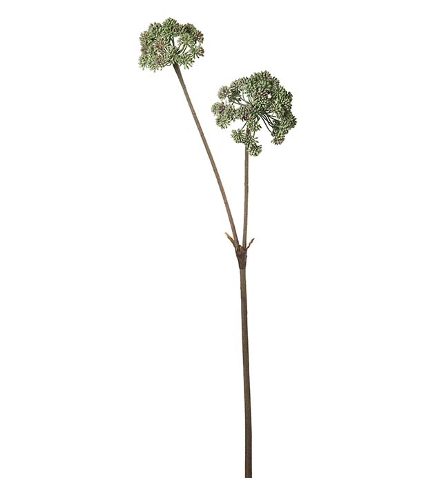 4837-90, Angelica