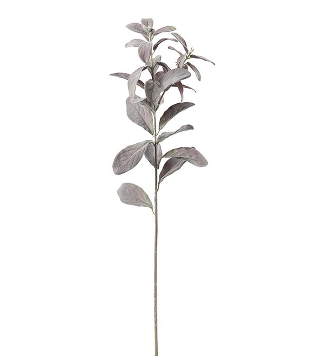 4863-41, Salviakvist