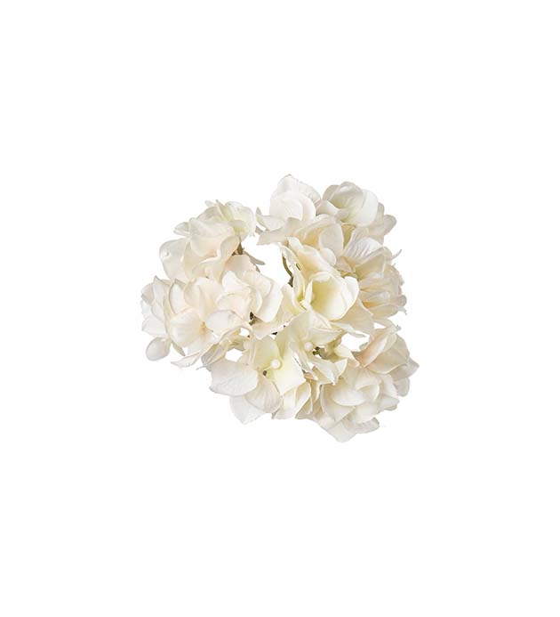 4870-11, Hortensia med clips
