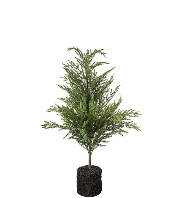 4871-105, Gran 105 cm