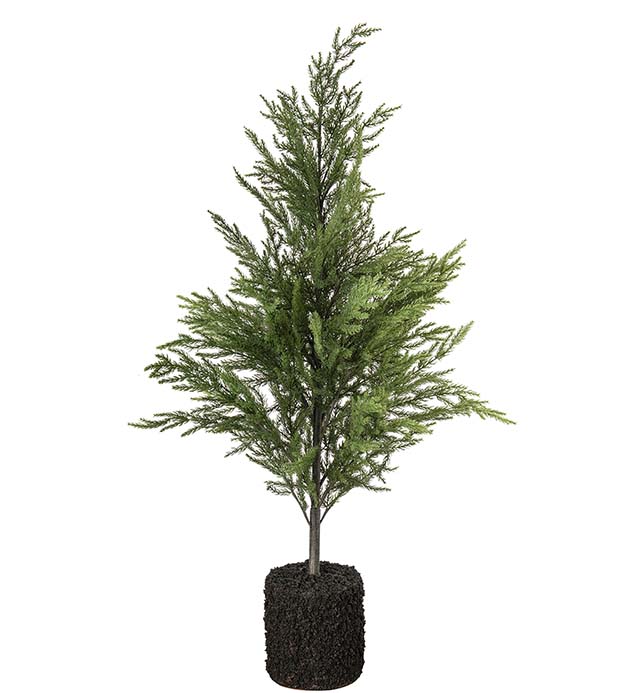 4871-120, Gran 120 cm