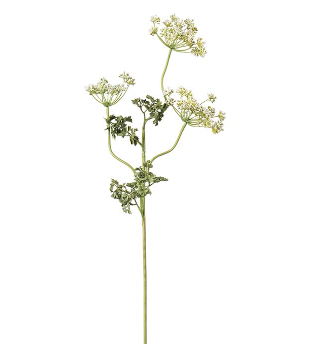 4873-10, Flockblomma