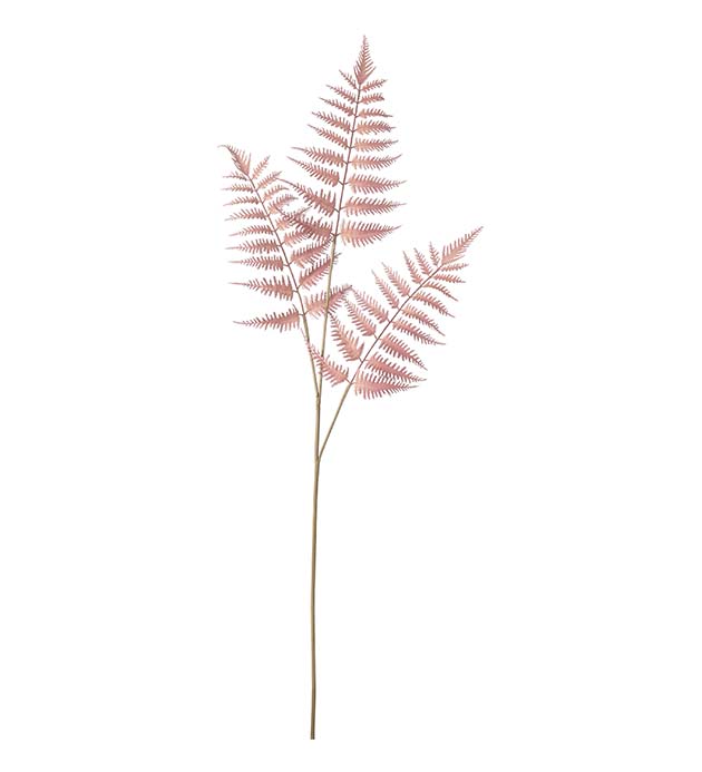 4886-01, Ormbunksblad