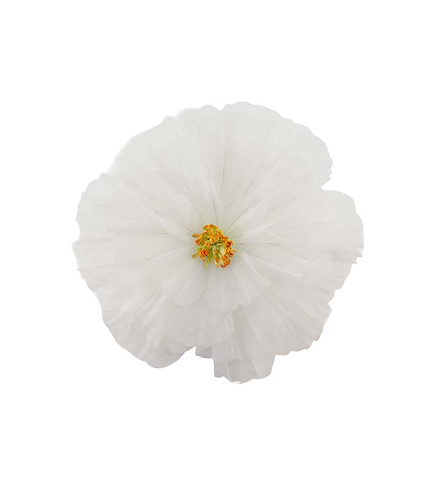 4898-10, Blomma Daisy vägg