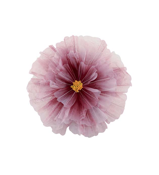 4898-45, Blomma Daisy vägg