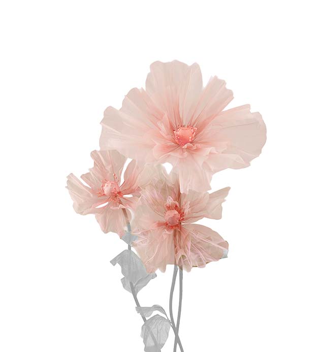 4899-20, Blomma Lilly 3/S