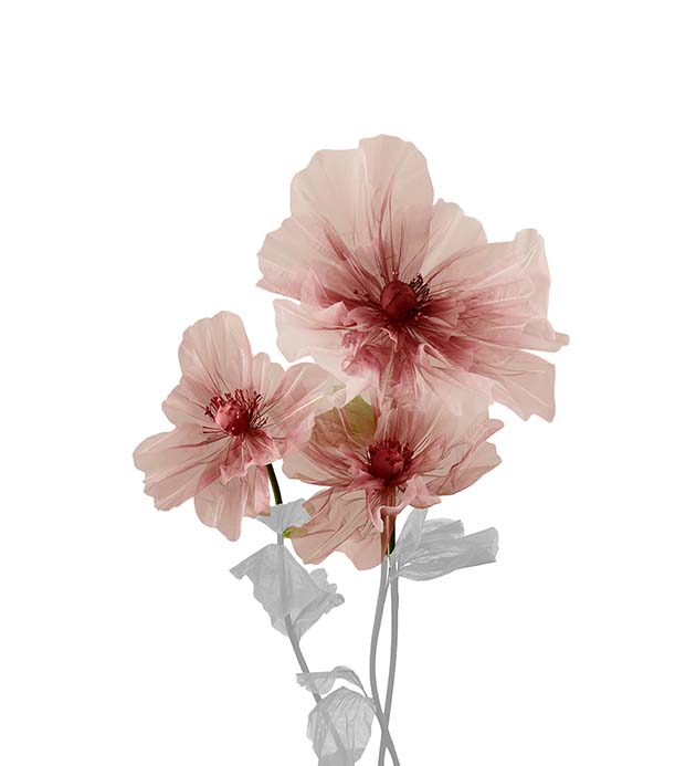 4899-45 - Blomma Lilly 3/S