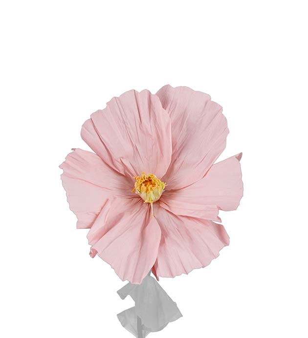 4917-20, Blomma Lykke