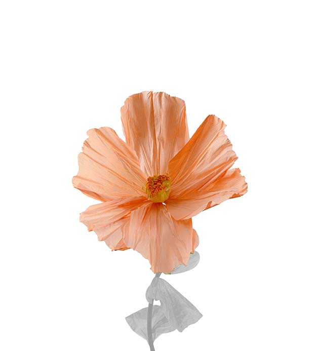 4917-32, Blomma Lykke