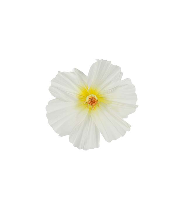 4918-10, Blomma Lykke vägg